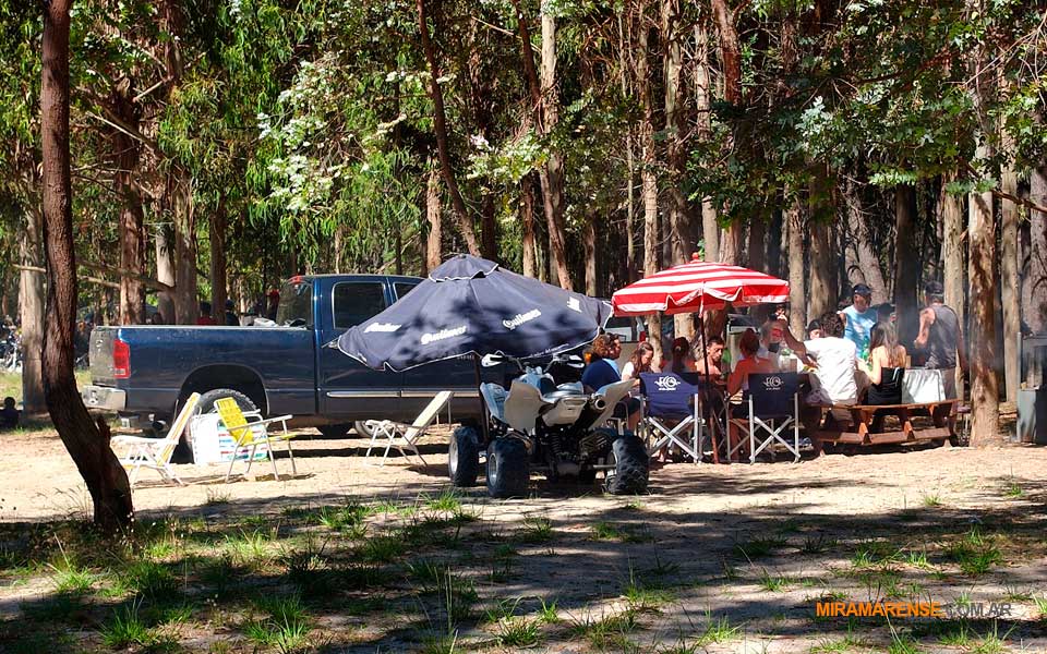 Asado en los fogones del Vivero
