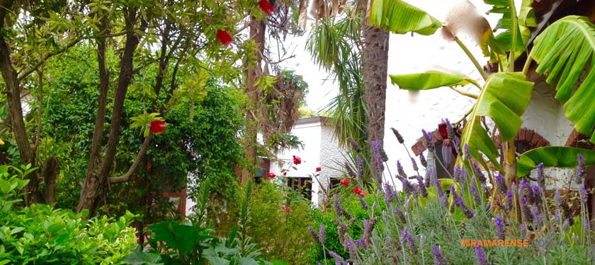 Hotel 2 y 3 estrellas en Miramar