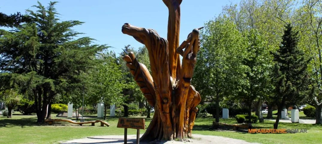 Arbol Tallado en Miramar