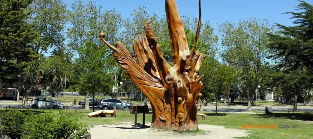 Arbol Tallado en Miramar