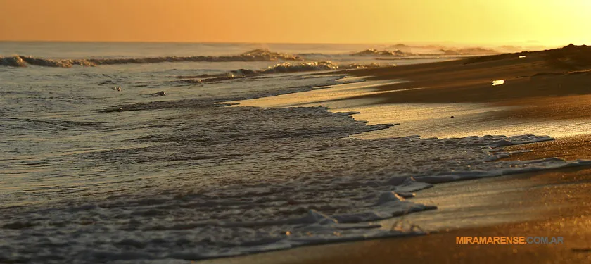 Mar del Sud en Miramar