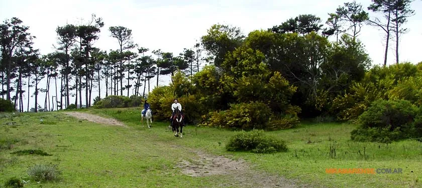 Bosque Vivero Dunícola en Miramar