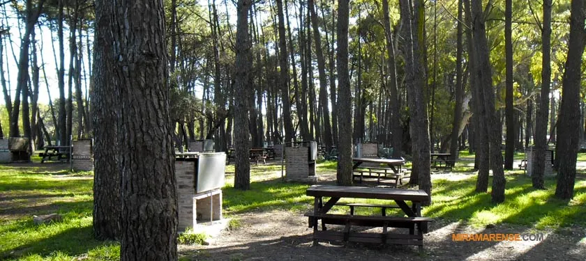 Bosque Vivero Dunícola en Miramar