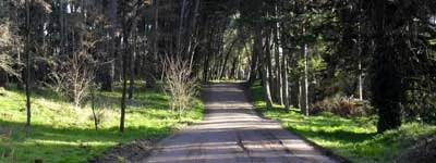 Paseos por Miramar - Bosque Vivero Dunícola