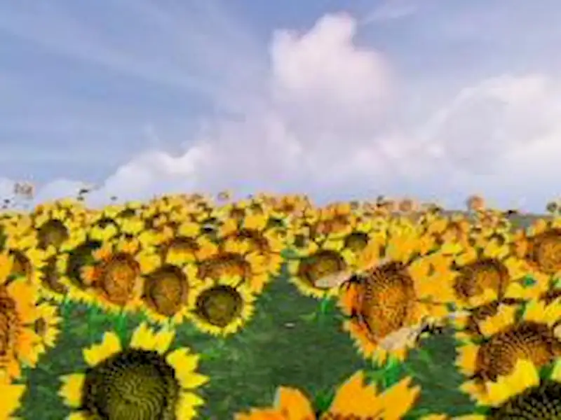 Exposición Apícola Miramar edición 2006 | Miramarense