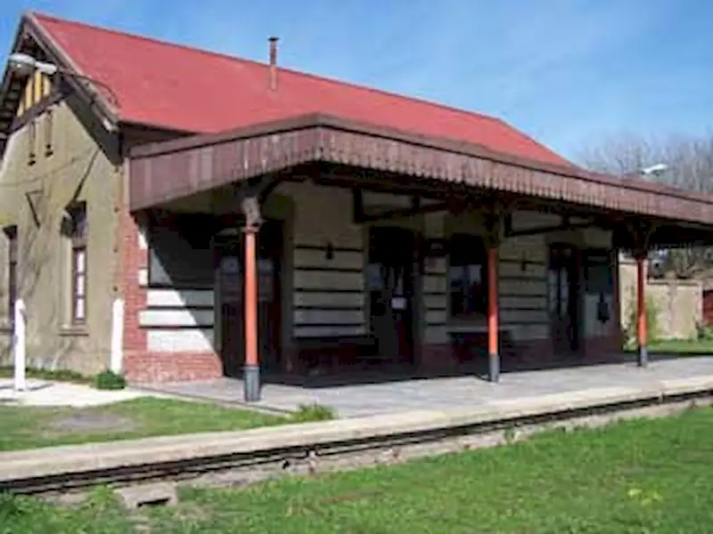 Fiesta Patria en Miramar | Miramarense