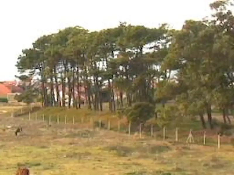 Nuevo Hotel en Miramar | Miramarense