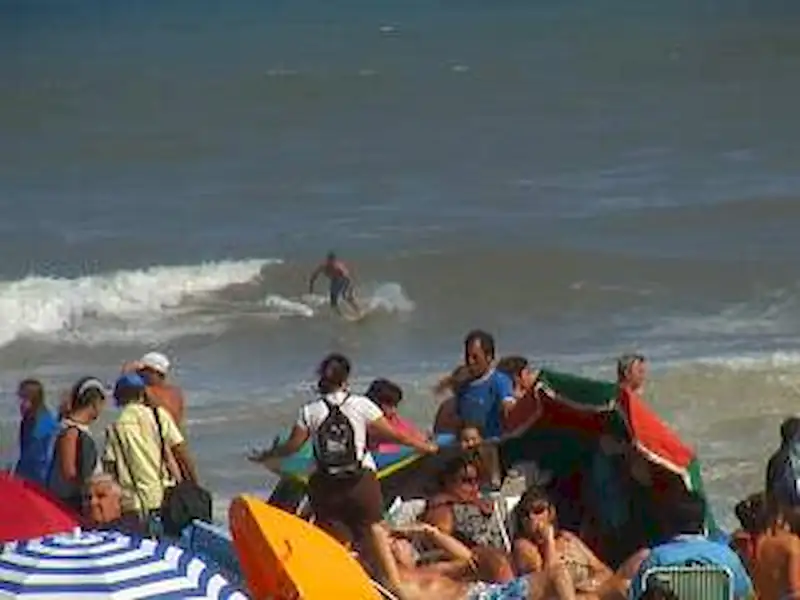 Ocupación de la 2ª quincena en Miramar | Miramarense