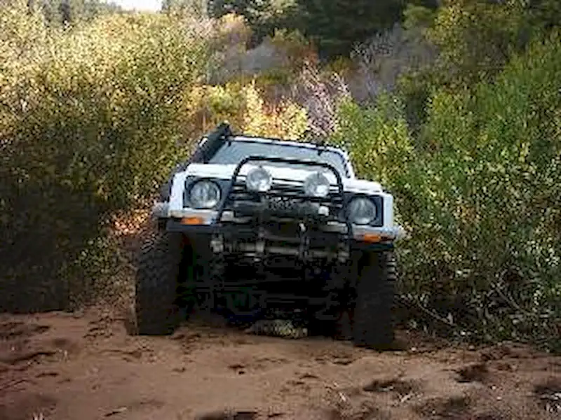 Encuentro Suzuki Club | Miramarense