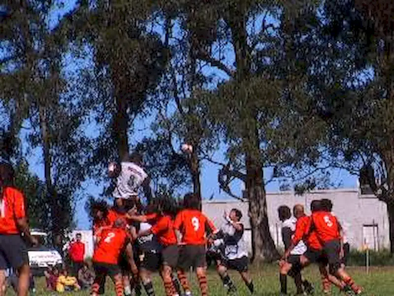 Volvió el rugby a Miramar | Miramarense