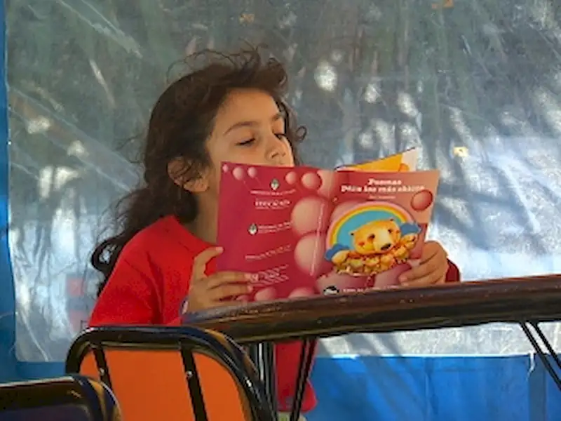 Se inauguro la Carpa de Lectura” en Miramar | Miramarense