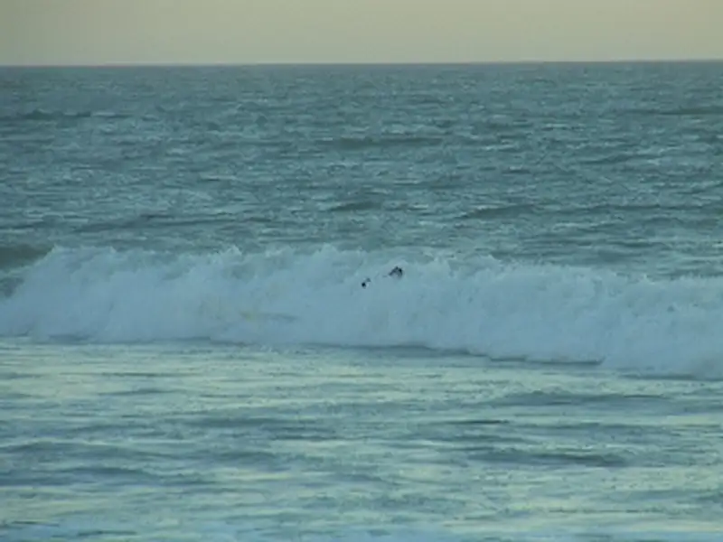 Gran accionar de Guardavidas | Miramarense