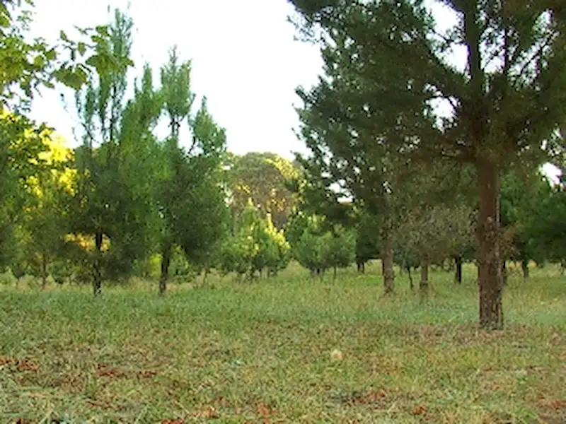 El norte en Semana Santa | Miramarense