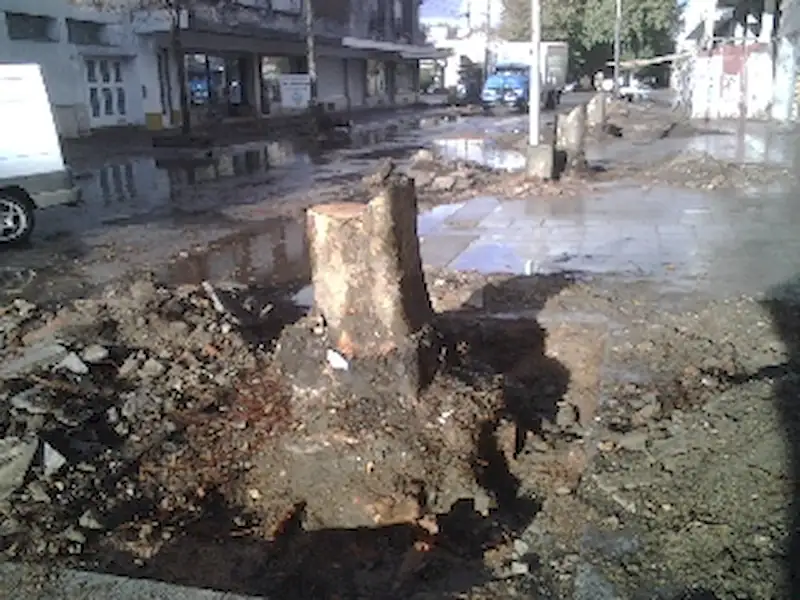 Arreglos en la calle 30 | Miramarense