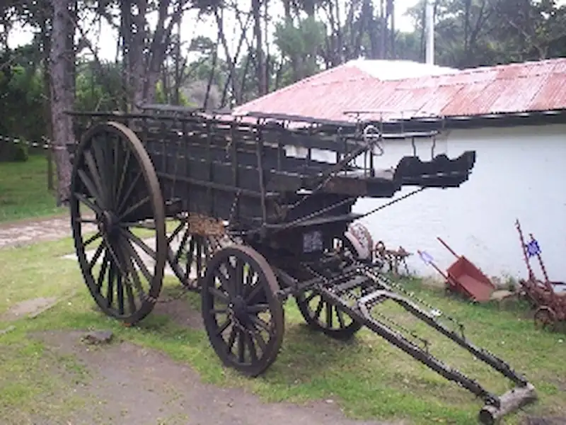 La Chata Garbiso | Miramarense
