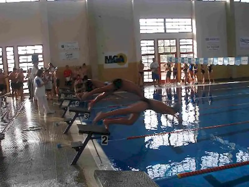 Circuito de Natación | Miramarense