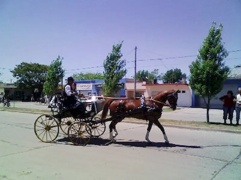 Fiesta de la Tradición Frente al Mar | Miramarense