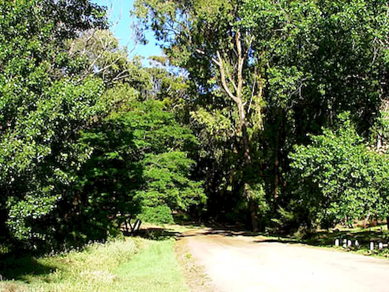 Forestación | Miramarense