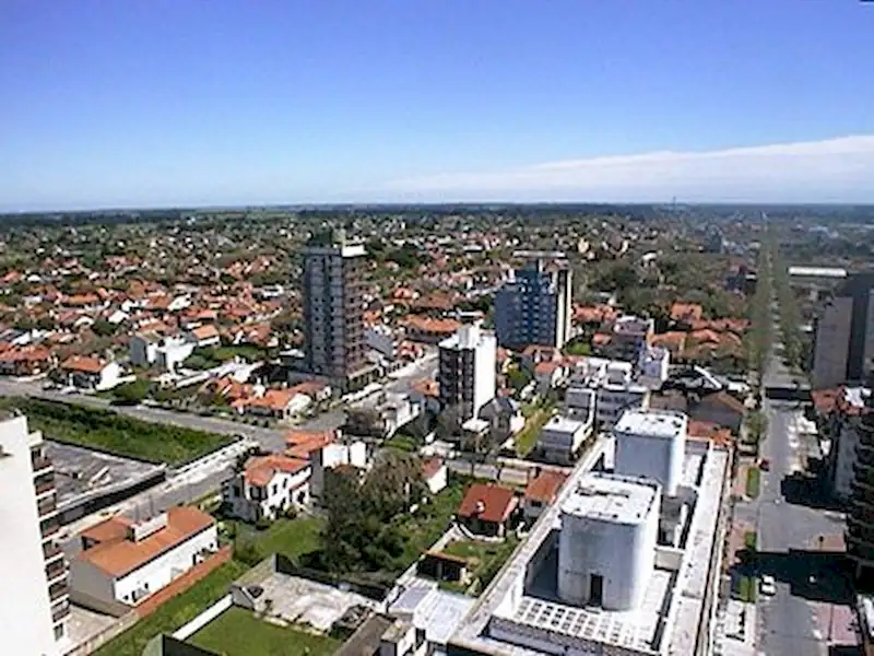 Poda en Miramar | Miramarense