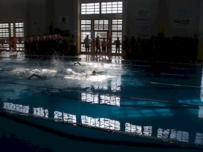 Circuito de Natación | Miramarense