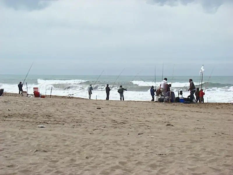 Concurso de Pez Elefante | Miramarense