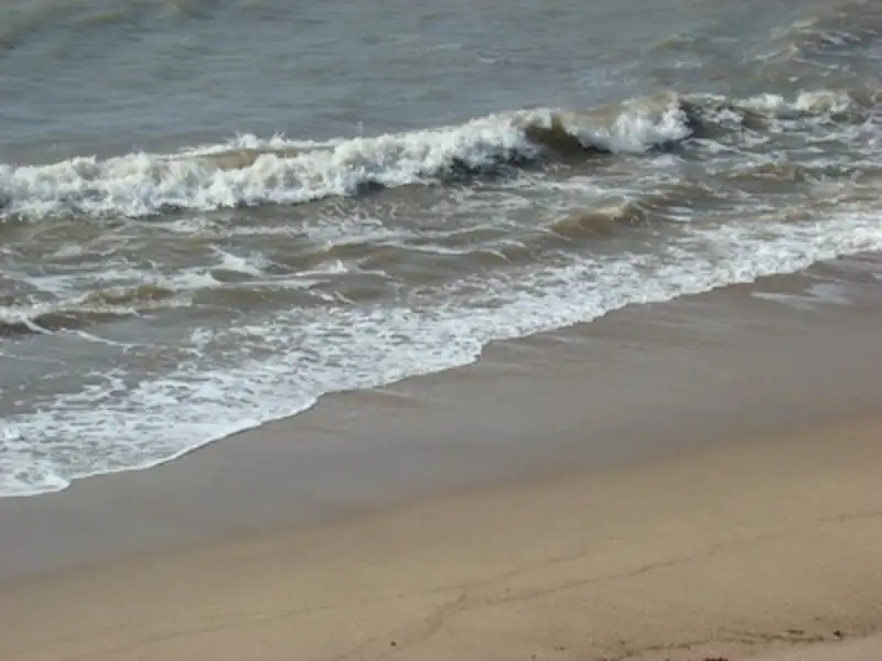 Encuesta ambiental | Miramarense