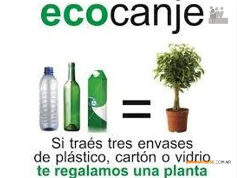 Jornada de EcoCanje en Miramar | Miramarense