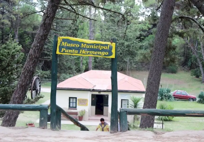 Mañanas naturales en el Museo de Miramar | Miramarense