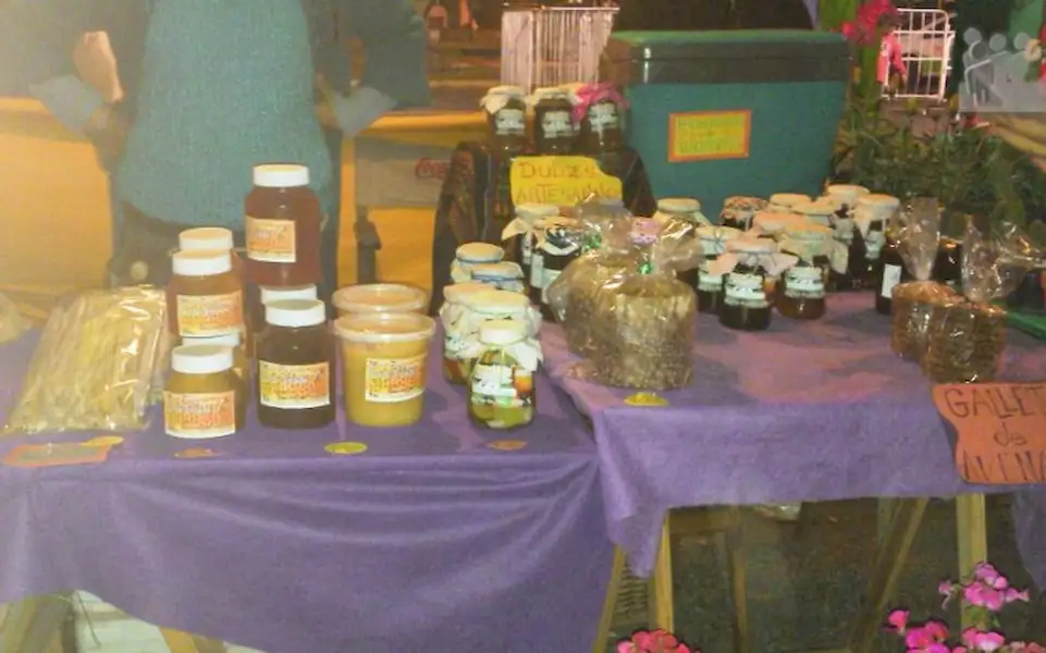 Jornada de Reciclaje en la Feria Verde | Miramarense