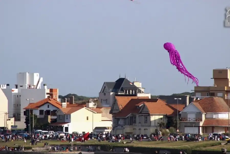 Barriletes coparon el cielo de Miramar | Miramarense