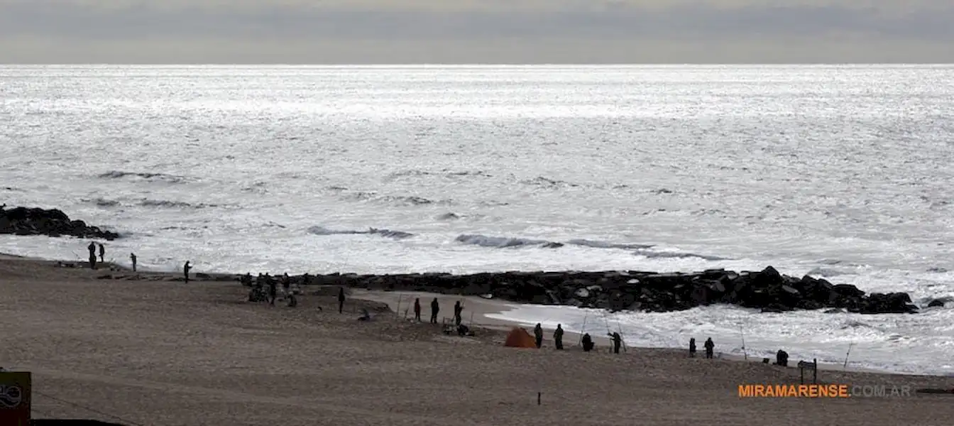 Deporte | 9º Concurso pesca al Pez Elefante, Miramar 2015