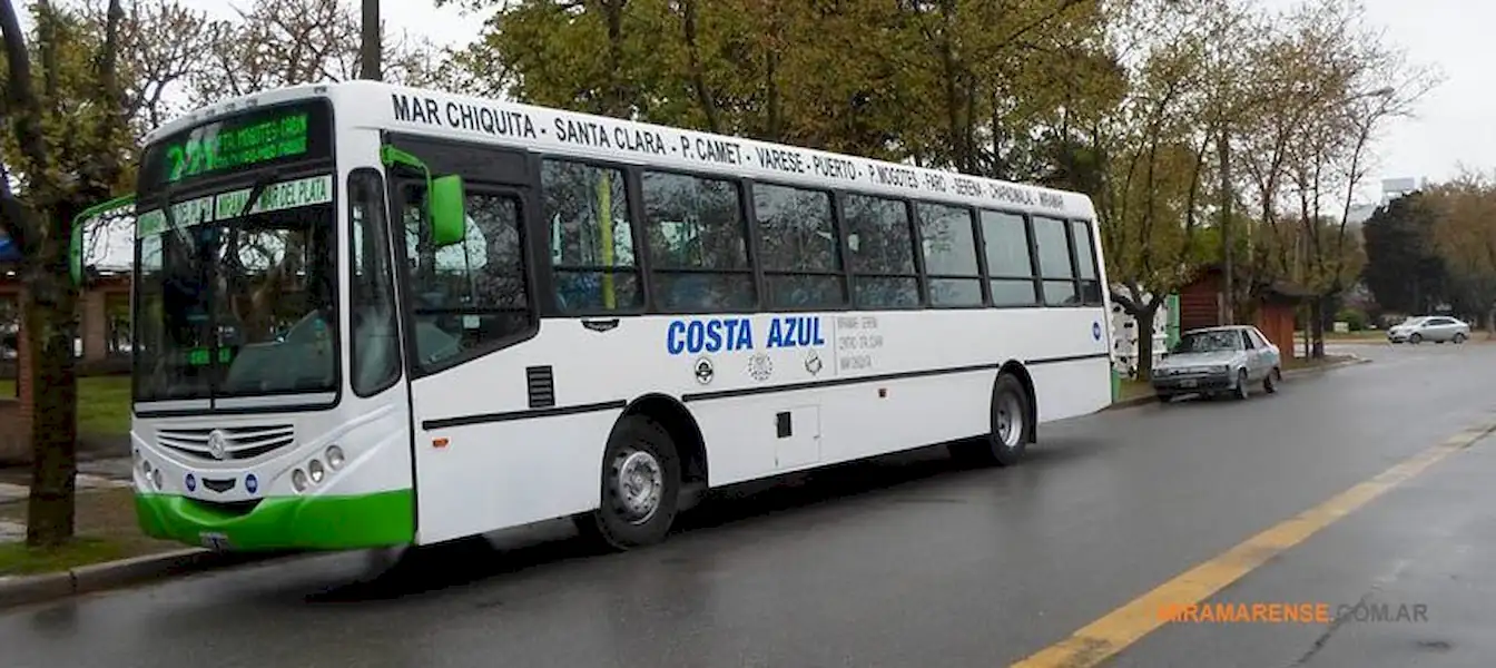 Nueva Linea de Colectivos en Miramar | Miramarense