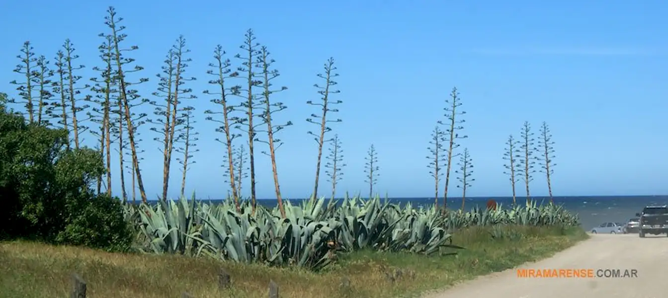 Turismo | Los 5 mejores lugares para sacar fotos en Miramar