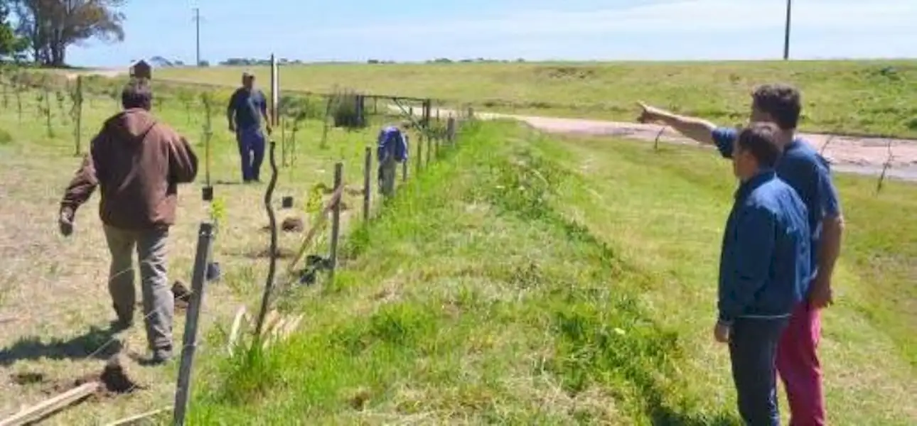 Reforestación en el Vivero de Miramar | Miramarense