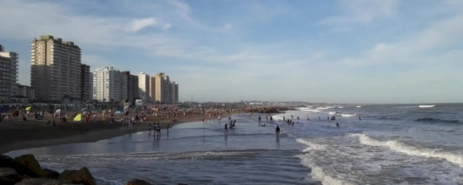 Algas en las costas de Miramar | Miramarense