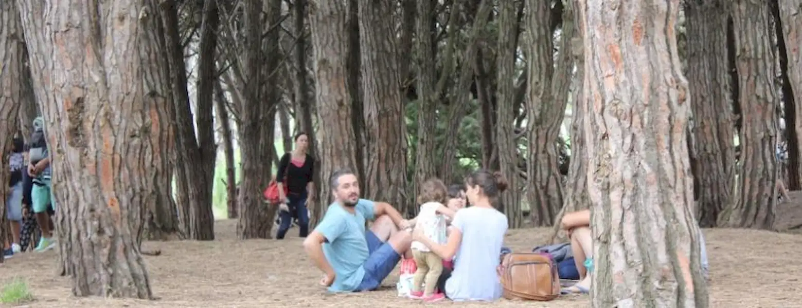 Cuenta regresiva para fin de año | Miramarense