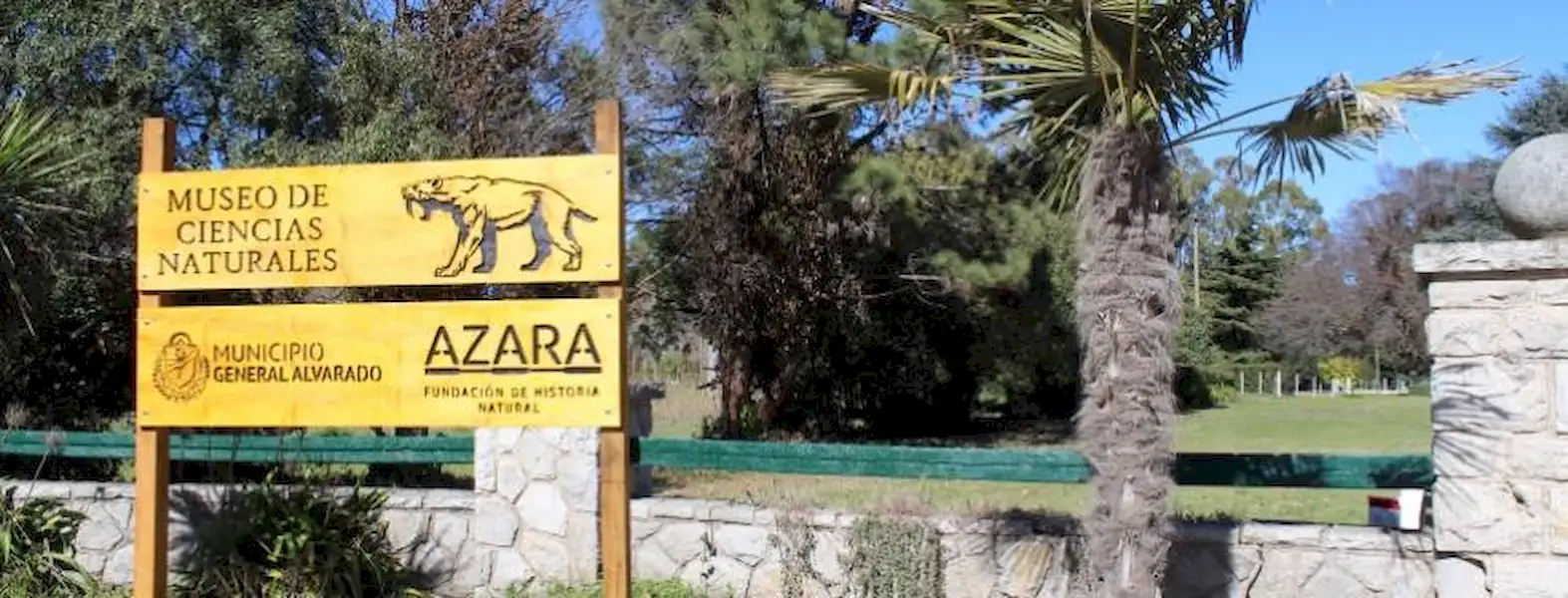 Nueva sede del Museo de Ciencias Naturales de Miramar | Miramarense