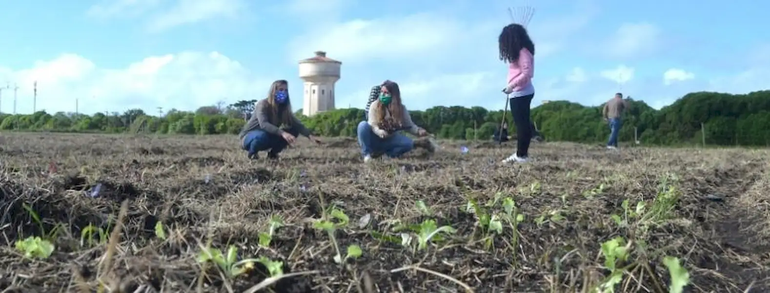 Comenzó a funcionar una Huerta Comunitaria | Miramarense
