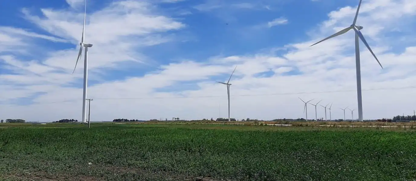 Comenzó a funcionar el Parque Eólico Vientos de Miramar | Miramarense