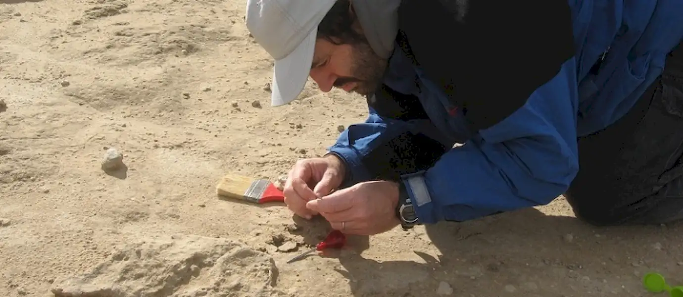 Encuentran un fósil de 100 mil años en Miramar | Miramarense