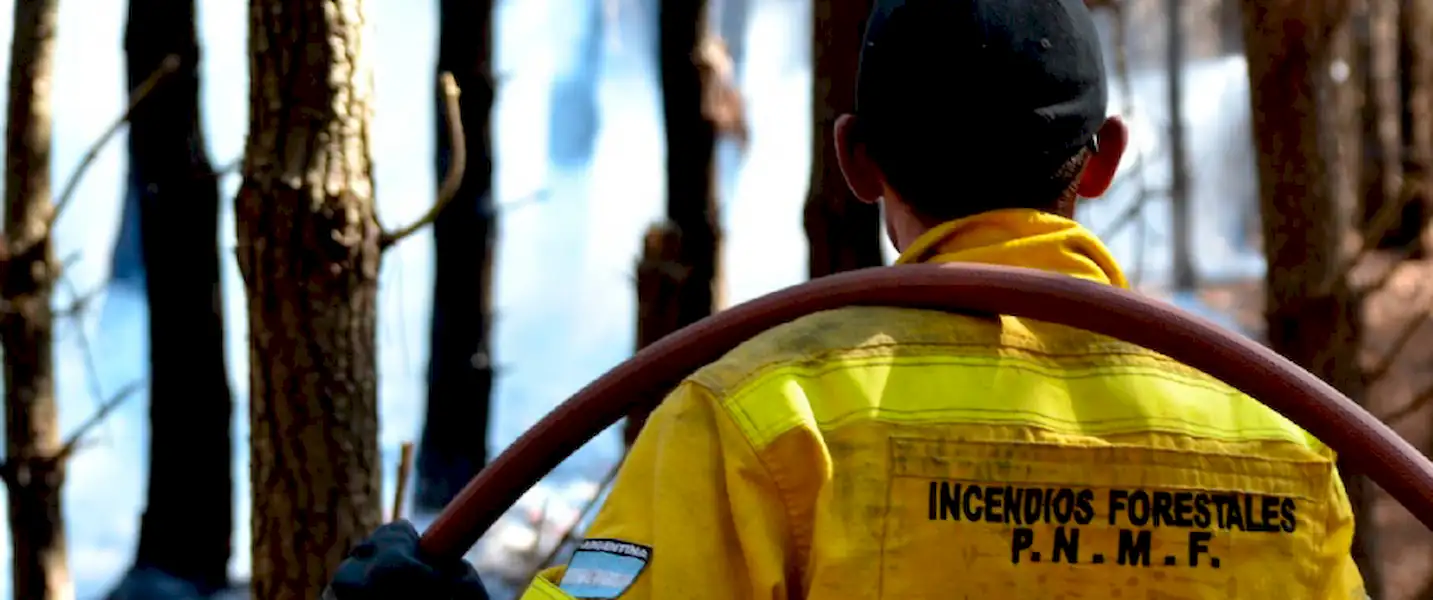 Acciones preventivas ante la posibilidad de incendios forestales | Miramarense