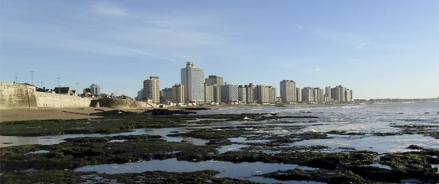 Concurso de Vidrieras navideñas en Miramar | Miramarense