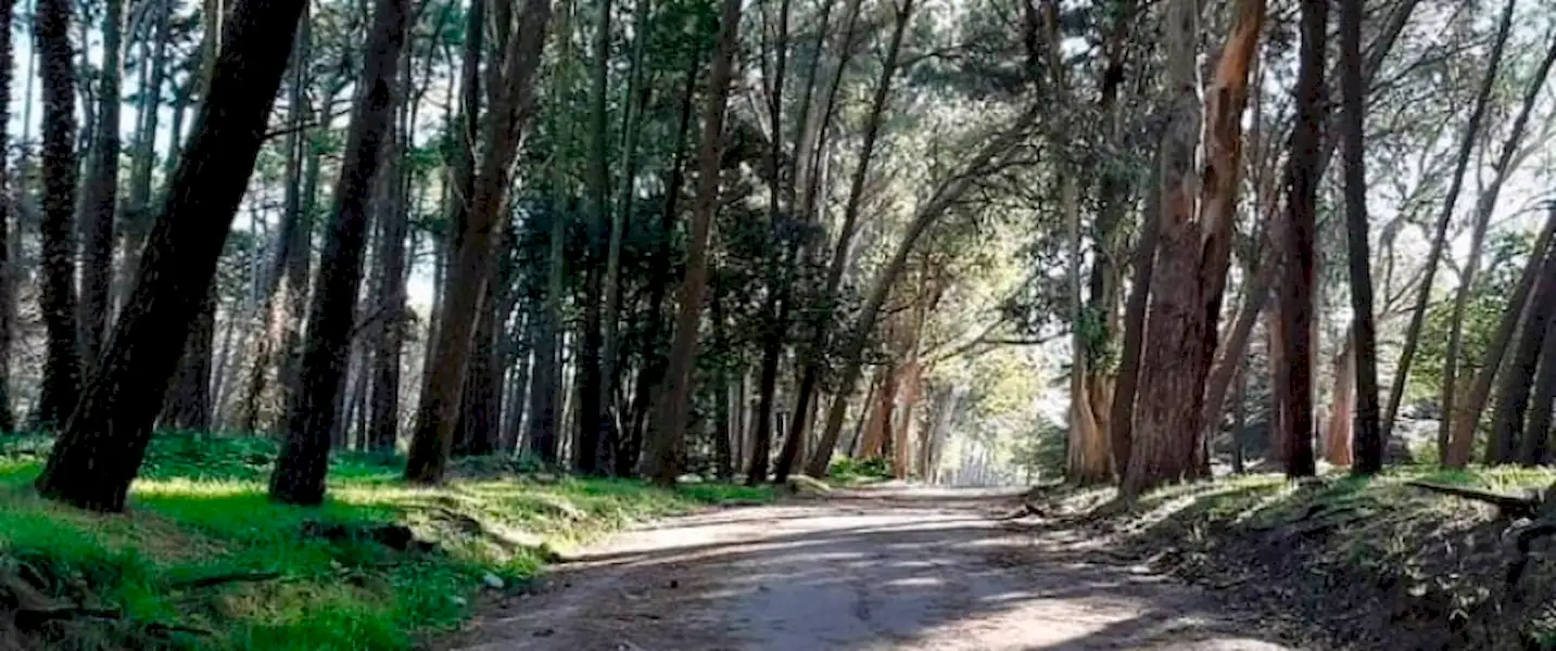 El vivero dunícola fue declarado Reserva Natural por el HCD | Miramarense