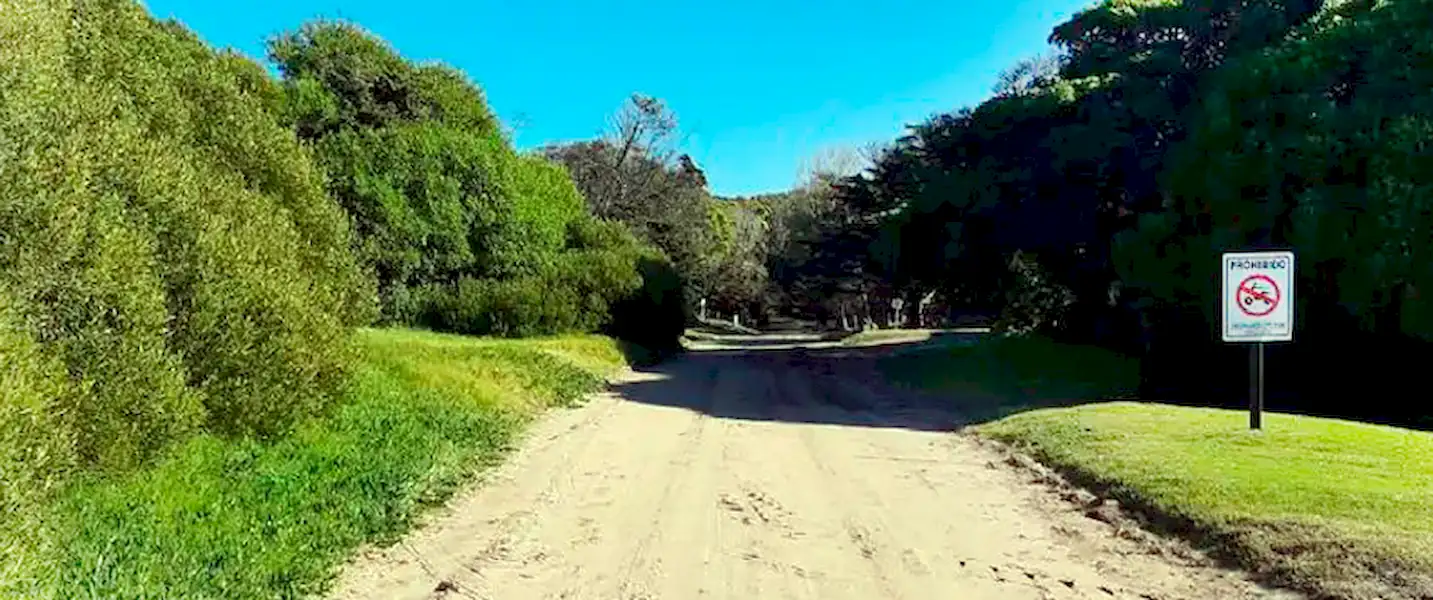 Advierten sobre riesgo extremo de incendio en el vivero miramarense | Miramarense