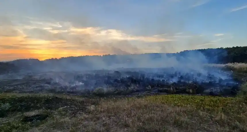 Bomberos contienen incendio en las cercanías del Vivero | Miramarense